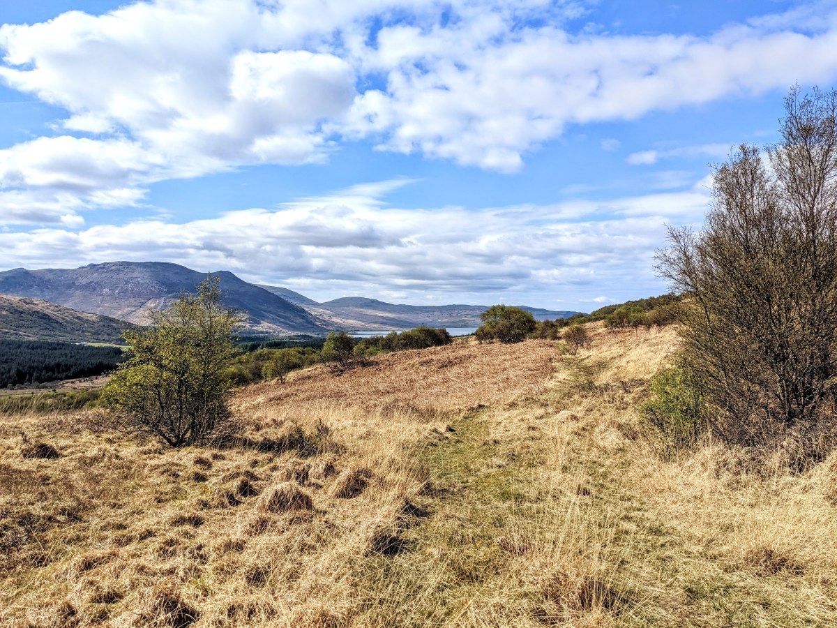Walk 208 – Isle of Mull Coast to Coast Circular,  Salen to Killiechronan – 8 miles