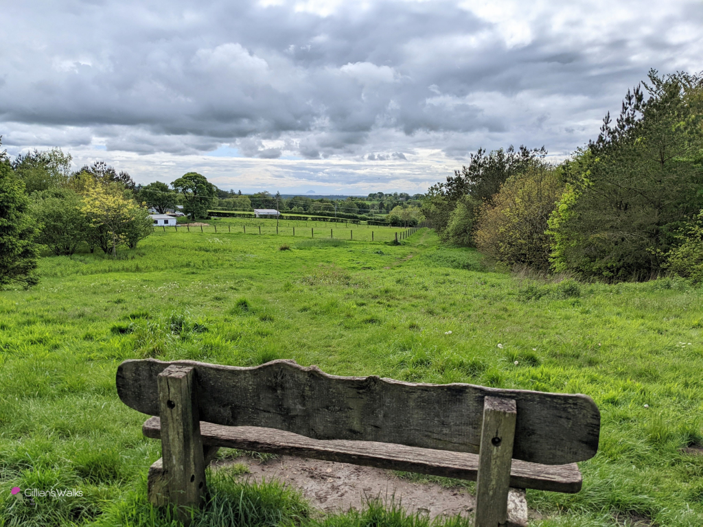 Wooden bench overlooking grassy fields in Commoncraig Wood, Dunlop